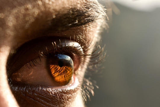 Vision Illustration